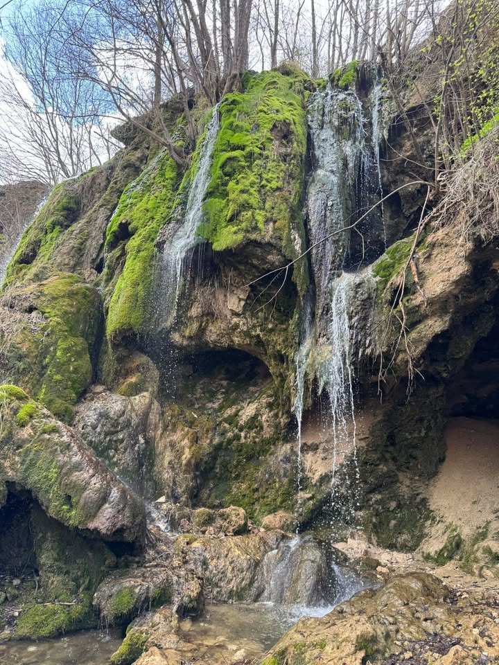 Pogled na Bigar vodopad, na nadmorskoj visini 430 metara, on je sam visok 35 metara, najveći je takav u ovom delu Stare planine, foto: Staraplanina INFO