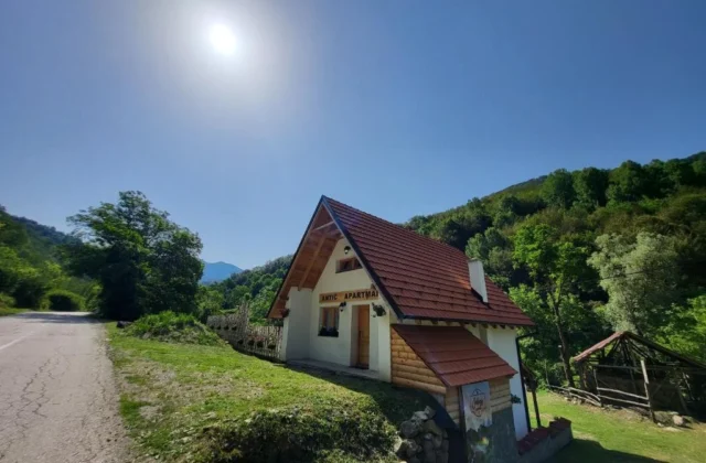Antić apartmani