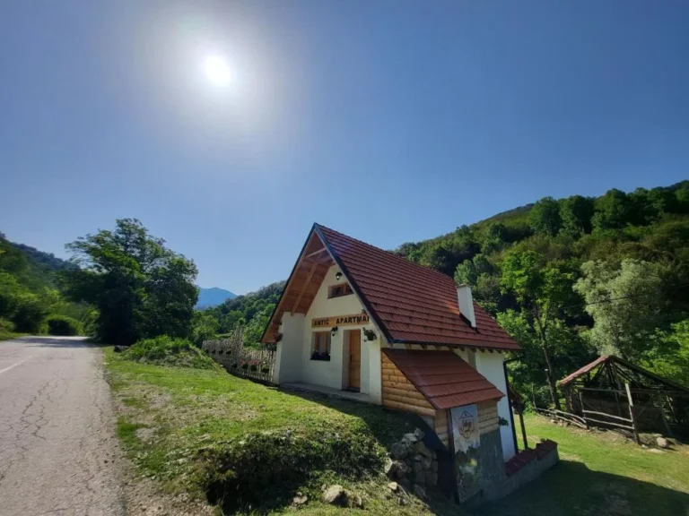 Antić apartmani